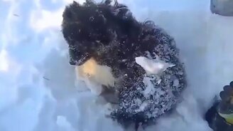 Ему не суждено было замёрзнуть! - смотреть видео (2:20)