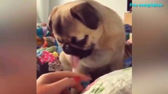 Неожиданные прикольные моменты - смотреть видео (5:56)