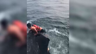 Мужчина спасает кита - смотреть видео (0:57)