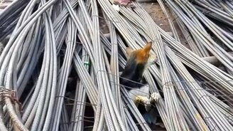 Спасение собаки из-под груды стали - смотреть видео (1:43)