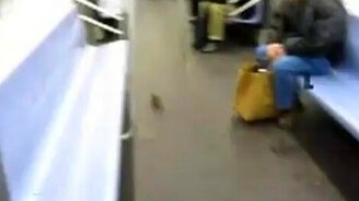 Хозяйка метро - смотреть видео (0:26)