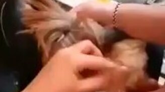 Шуба в сапогах? - смотреть видео (1:52)