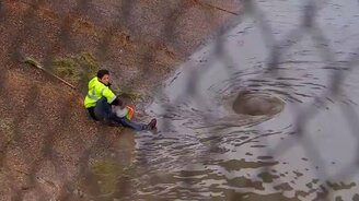 В одиночку устранил потоп - смотреть видео (1:24)