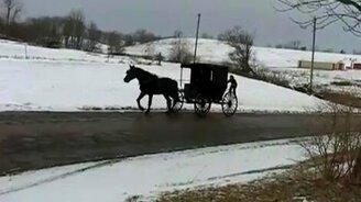 На лыжах за каретой - смотреть видео (0:18)