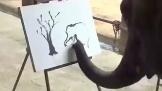 Слон-художник?! - смотреть видео (0:59)