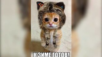 Забавные мемы в фото - смотреть видео (4:02)