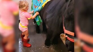 Девочка купает пони - смотреть видео (1:27)