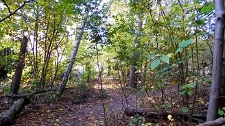 Камуфляж - класс! - смотреть видео (0:34)