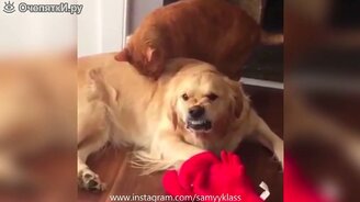 Шутки и приколы в сборке - смотреть видео (6:56)