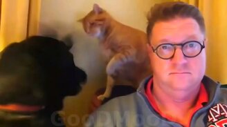 Смешное из жизни людей и животных - смотреть видео (7:52)