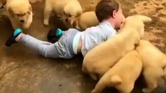 Как выглядят заряды позитива - смотреть видео (0:28)