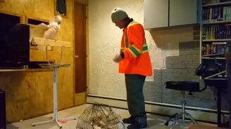 Пятёрка говорящих попугаев - смотреть видео (10:46)