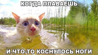 Фотоприколы с юмором - смотреть видео (4:37)