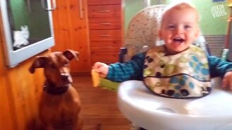 Смешное, захватывающее и весёлое - смотреть видео (10:15)