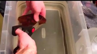 Появление на свет рыбки - смотреть видео (1:34)