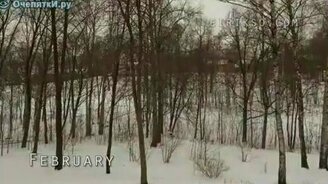 1 год за 2 минуты - смотреть видео (2:13)