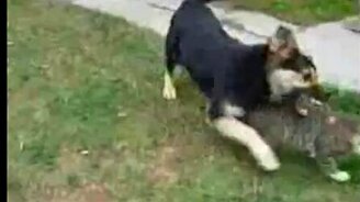 Игра двух врагов - смотреть видео (2:35)