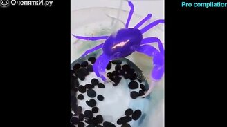 Произошло, однако, невероятное! - смотреть видео (4:40)