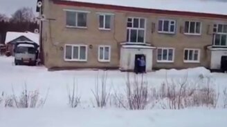 Собаки гоняют кабана, кабан гоняет людей - смотреть видео (2:34)