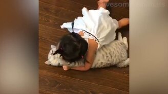 Игривые собаки и кошки - смотреть видео (15:04)