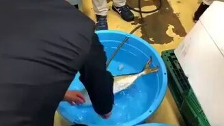 Изо льда да в тёплую воду - смотреть видео (1:11)