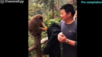 Попробуй не засмеяться над этим - смотреть видео (5:05)