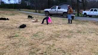 Красивый домашний цирк - смотреть видео (1:10)