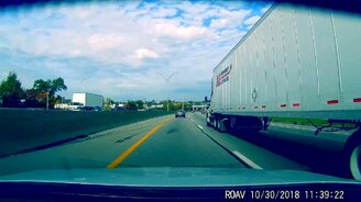 Удачливый олень - смотреть видео (0:12)