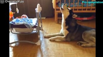 Неожиданно весёлое и интересное - смотреть видео (4:32)