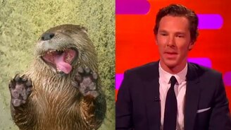 Бенедикт Камбербэтч - выдра? - смотреть видео (4:15)