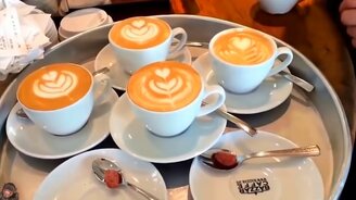 Ловкость и быстрота профессионала - смотреть видео (10:33)