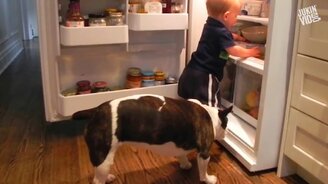 Сто отличных приколов за год - смотреть видео (6:31)