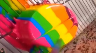 Что-то удивительное и замечательное! - смотреть видео (10:03)