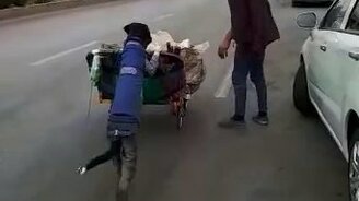 Славная парочка на дороге - смотреть видео (0:30)