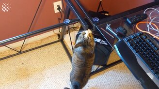 Топ-сто интересных приколов 2018 года - смотреть видео (8:19)