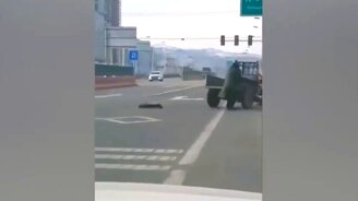 Китайский трактор взбесился - смотреть видео (0:55)