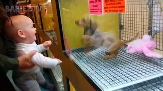 Дети смеются над питомцами - смотреть видео (10:37)