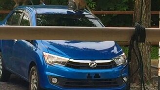 Обезьяна-воришка - смотреть видео (0:14)