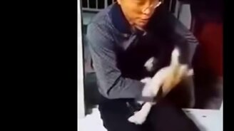 Хаски разозлились... - смотреть видео (14:25)