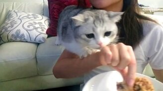 Яркое и весёлое за неделю - смотреть видео (10:25)