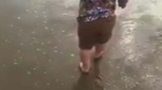 Собака сбивает с ног малыша - смотреть видео (0:24)