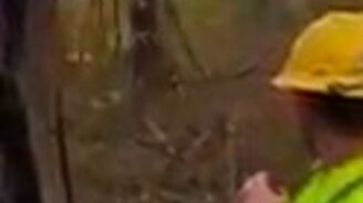 "Ответка" прилетела - смотреть видео (0:23)