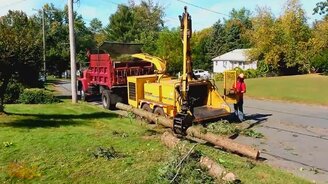 Машины, которые участвуют в жизни дерева - смотреть видео (8:05)