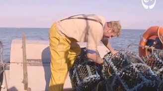 Как озвучивают кинофильмы - смотреть видео (2:24)