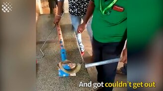 Они спасли животных - смотреть видео (4:01)