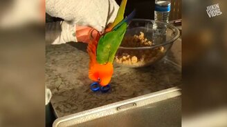 Яркое и прикольное на неделе - смотреть видео (10:23)