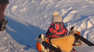 Санки с изюминкой - смотреть видео (0:18)