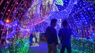 Светящиеся скульптуры из сена - смотреть видео (5:35)