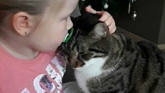 Девочка дружит с котом - смотреть видео (0:47)