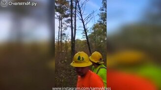 Удивительные казусы и приколы - смотреть видео (10:54)